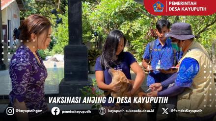 VAKSINASI ANJING DI BANJAR DINAS SINALUD